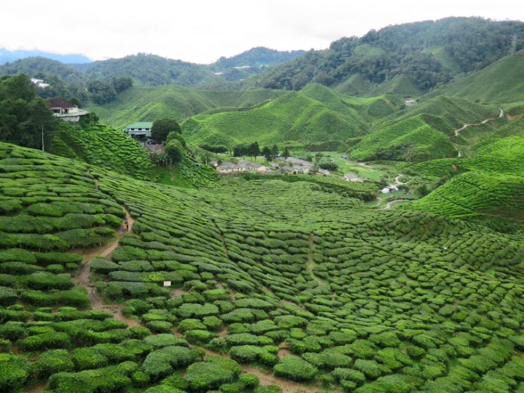 10530921_1072987772753165_7367801788726607684_n