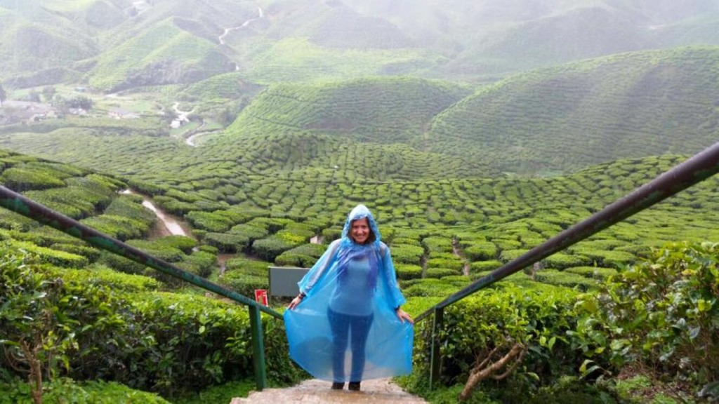 10537152_1072988329419776_725108485239482150_n