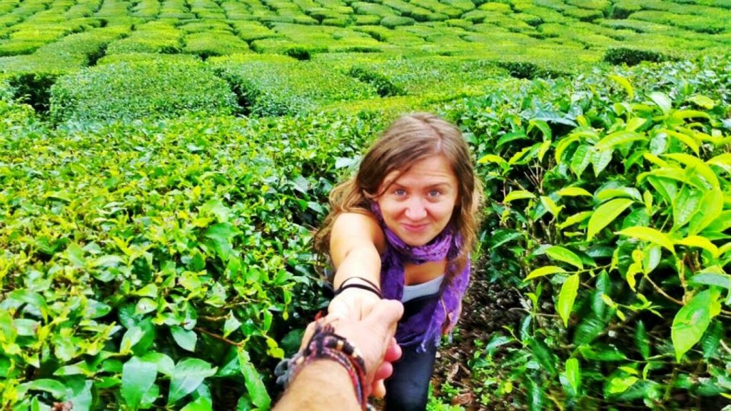 11220135_1072988282753114_4223886352709031124_n