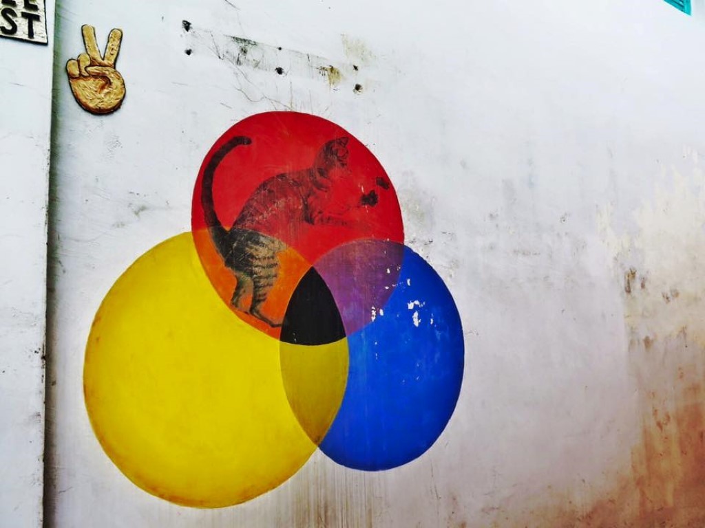 11221889_1077164535668822_1472072811915797327_n