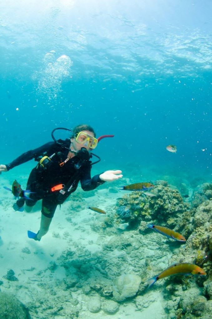 11934540_1056022924449650_8614342499027632162_o