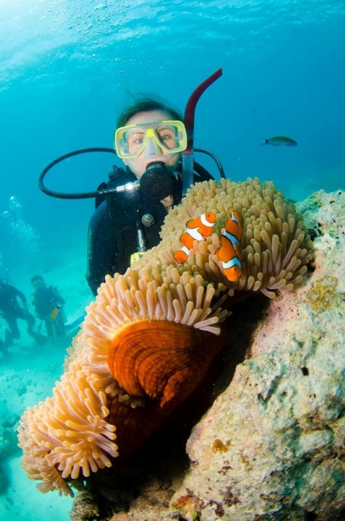 12080154_1056022914449651_4596369033911544454_o