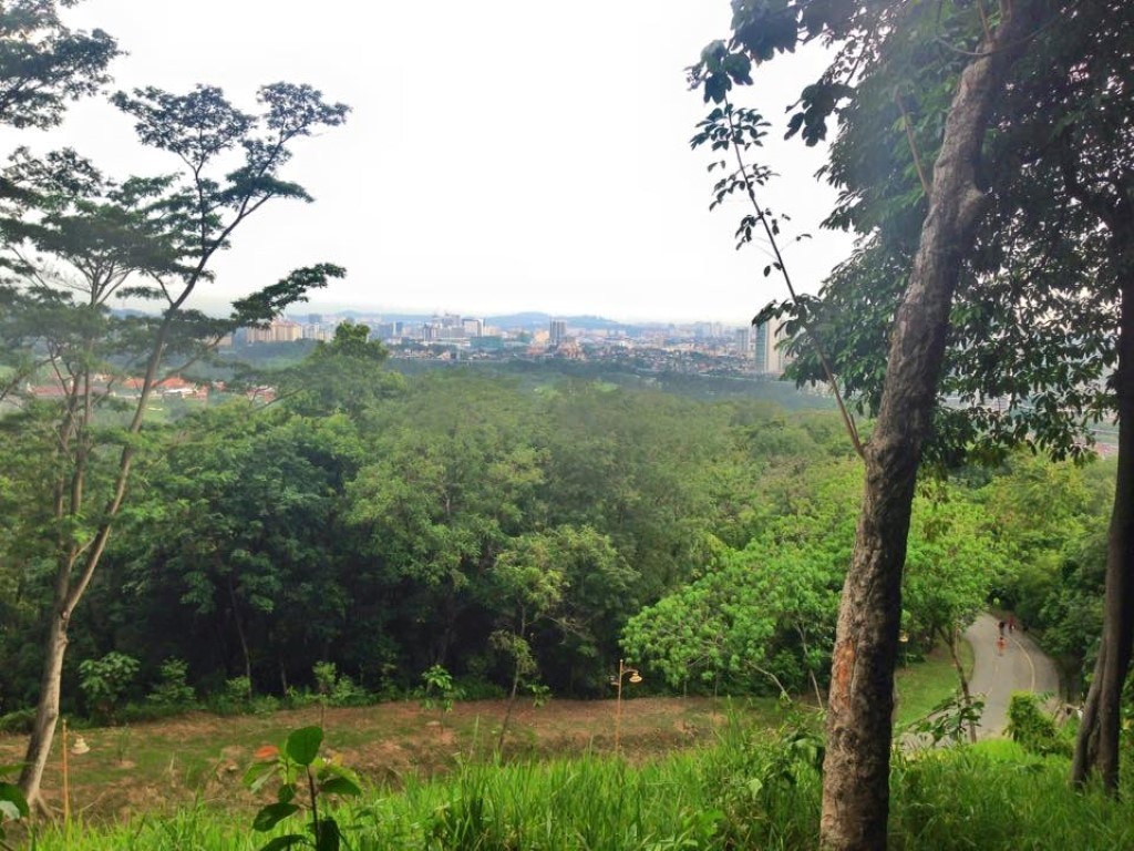 12187722_1072165242835418_5761237972104602452_n