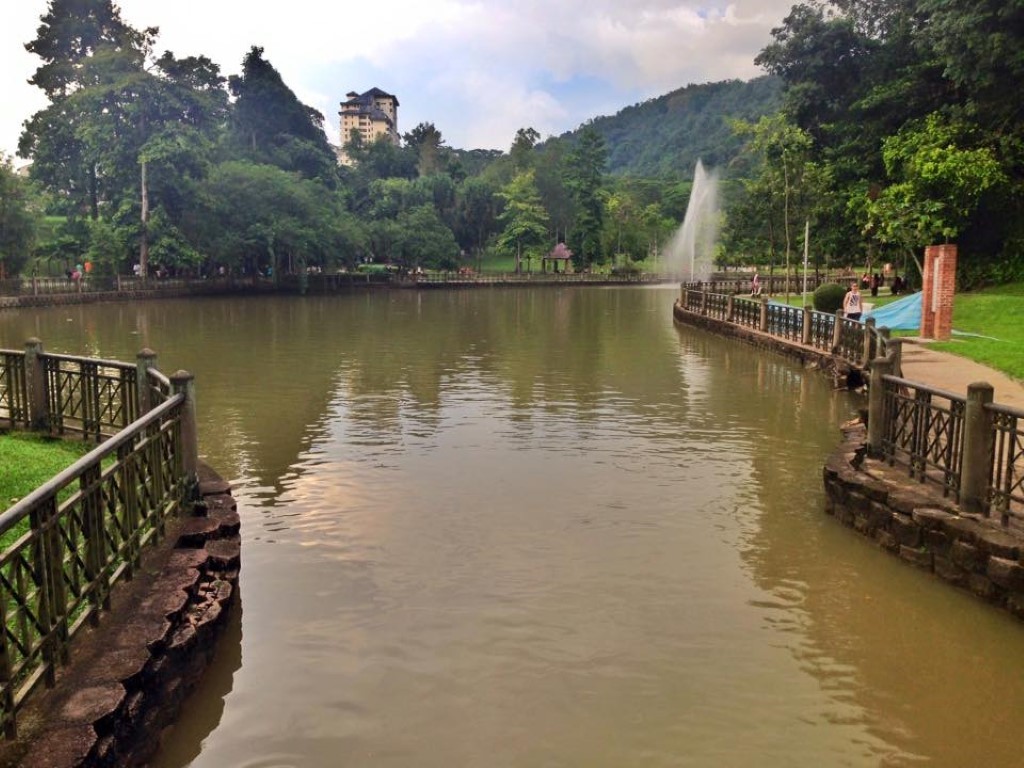 12189558_1072165132835429_2260440352779832925_n