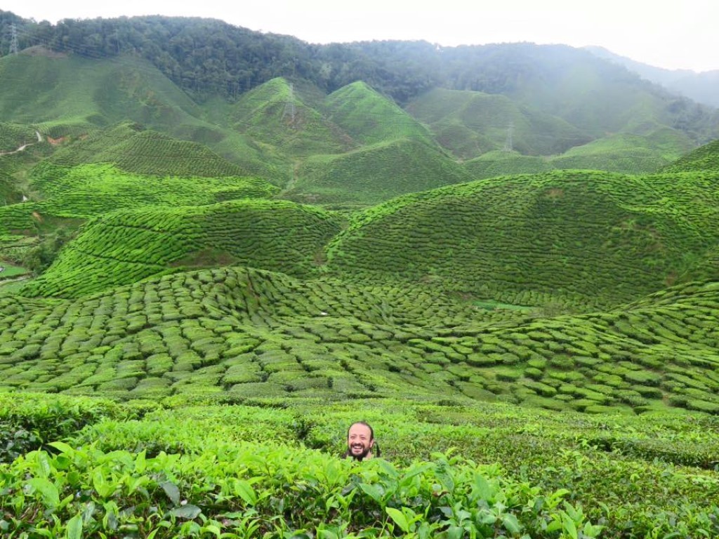 12191603_1072987842753158_2805093954748746969_n