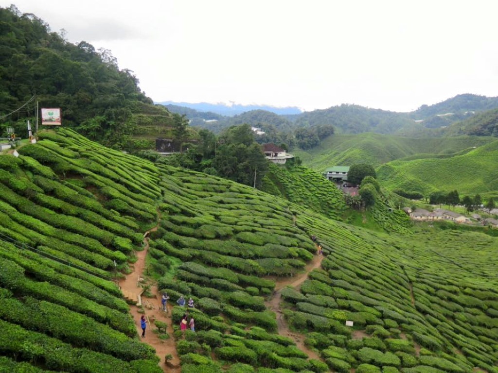 12191812_1072985606086715_2447556456326021633_n