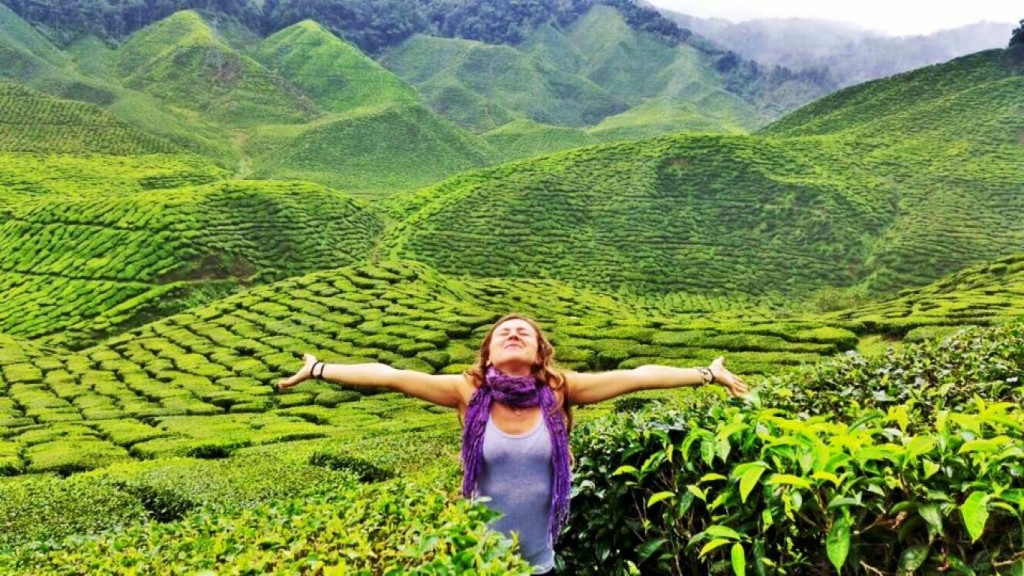 12191891_1072985522753390_6502762864704707960_n