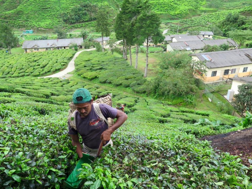 12195914_1072988099419799_5192623092924228445_n