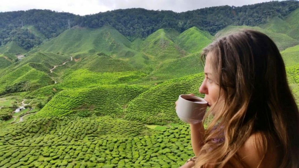 12195971_1072985526086723_4222785967746038881_n