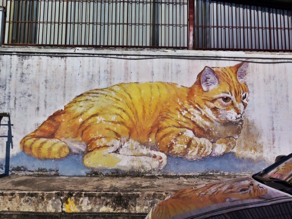 12208630_1077164422335500_5851236737363146593_n