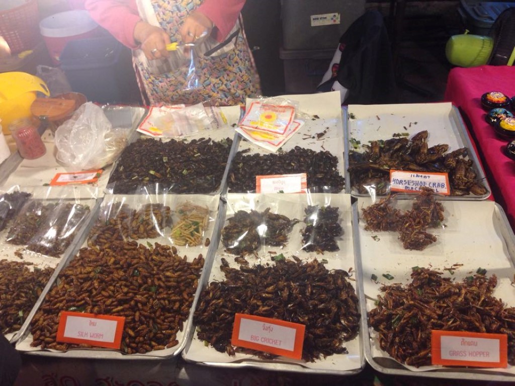 12399401_10153864761222700_1064811112_n