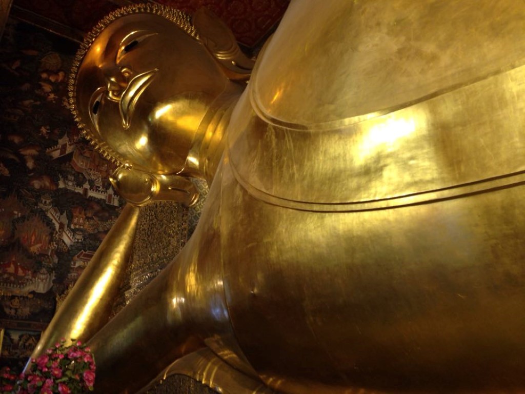 12576011_10153910969427700_1160240402_n