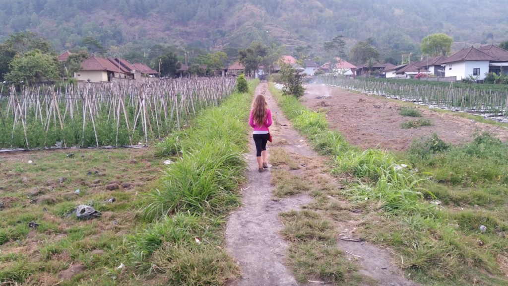 20151014_175048 (Medium)