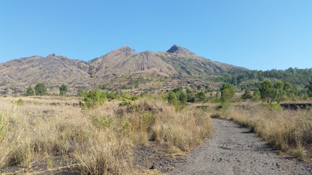 20151015_083230 (Medium)