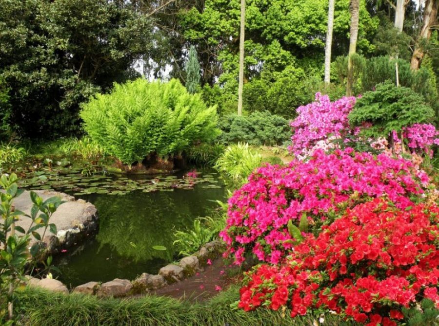 batum-botanik-bahce-medium