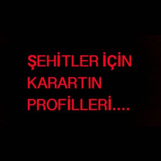 profil karartma