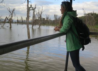 Dünyanın Geleceği İnsanoğlunun Elinde (mi?)
