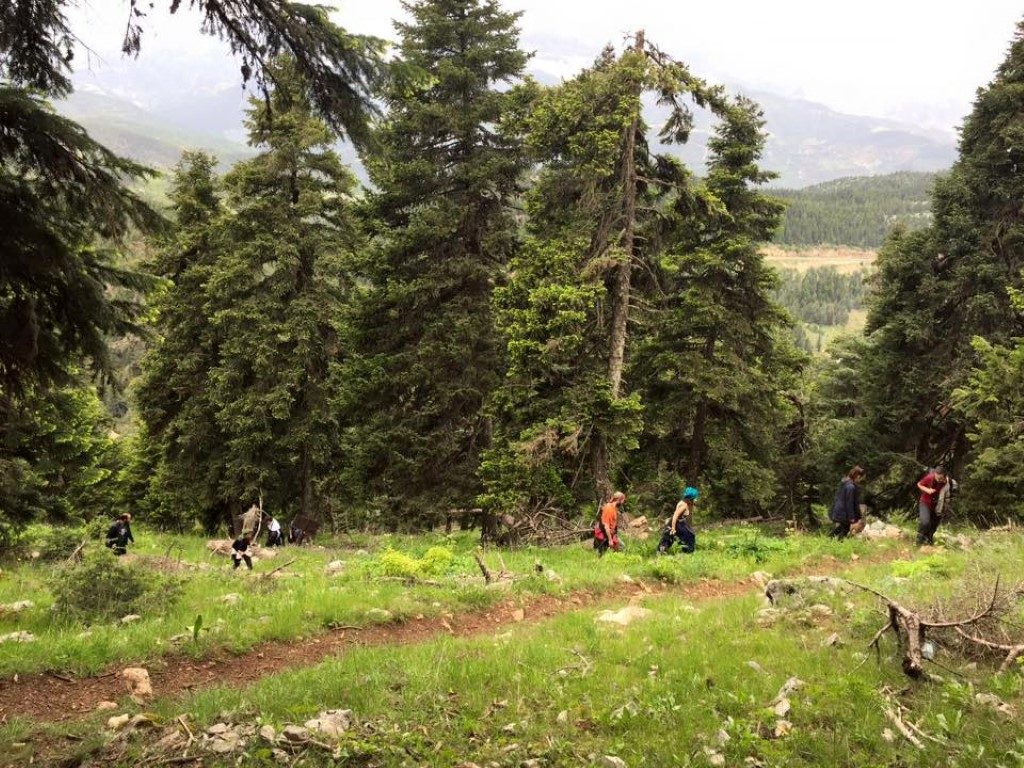 8 alikayası trekking