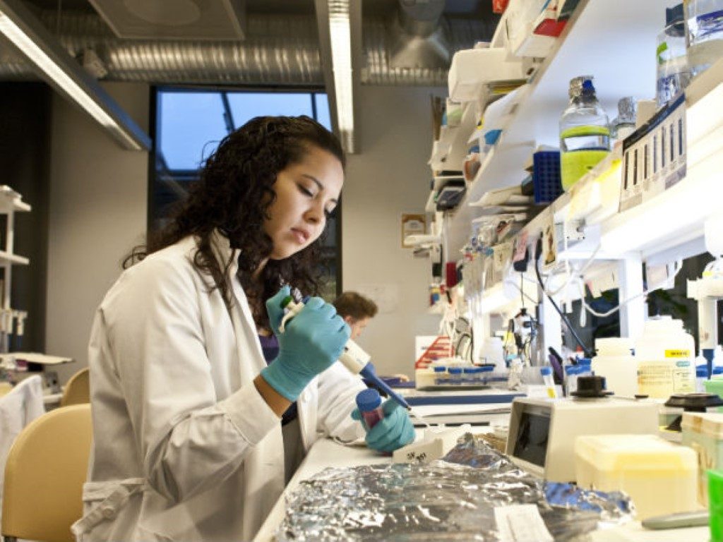 avustralya yüksek lisans